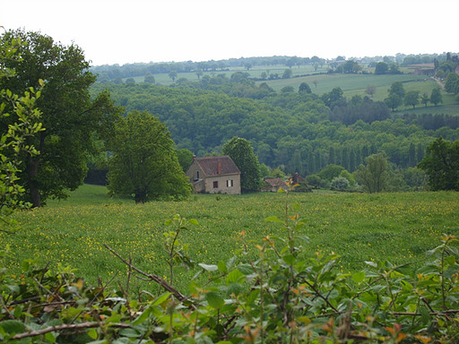 Paysage bourbonnais en Pays de Tronçais