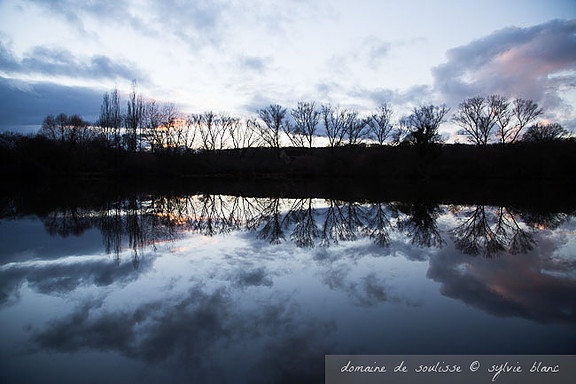 Les eaux sombres de l'étang en hiver se transforme magiquement en miroir