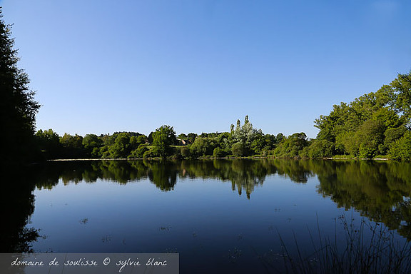 Miroir d'eau sur l'étang