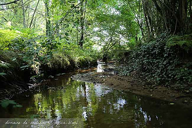 La rivière Marmande