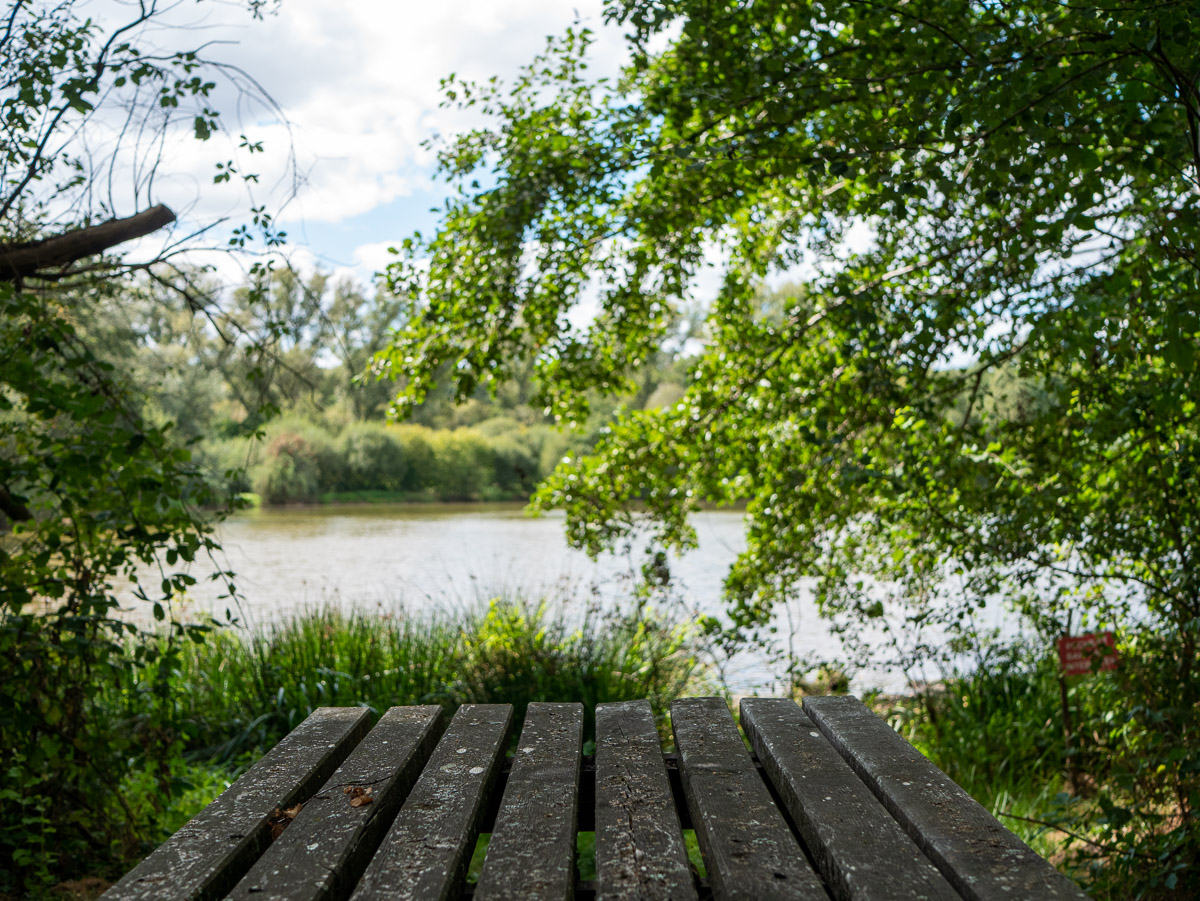 Table de pique-nique au bord d'un étang