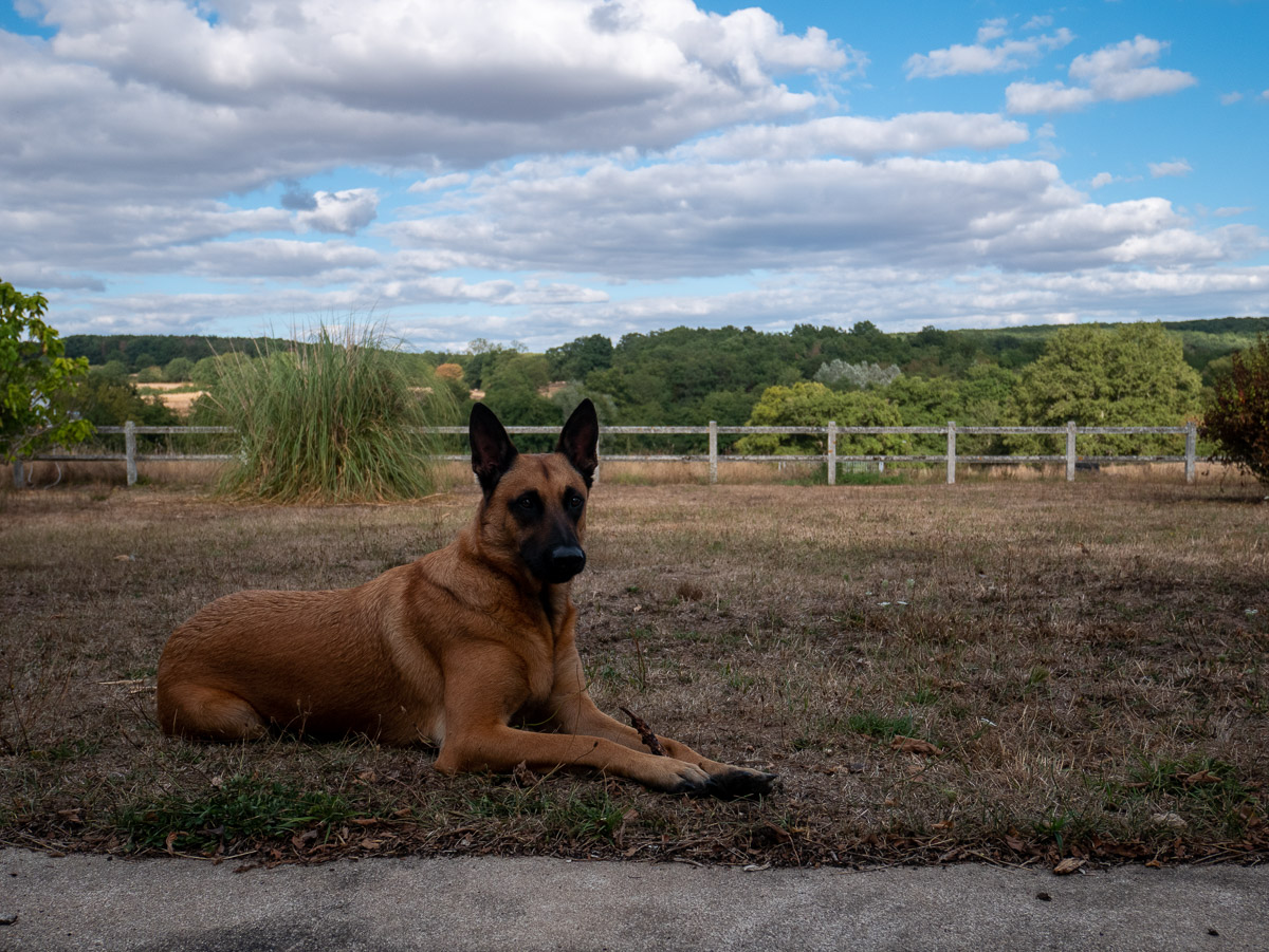 Ouadane avec son bâton